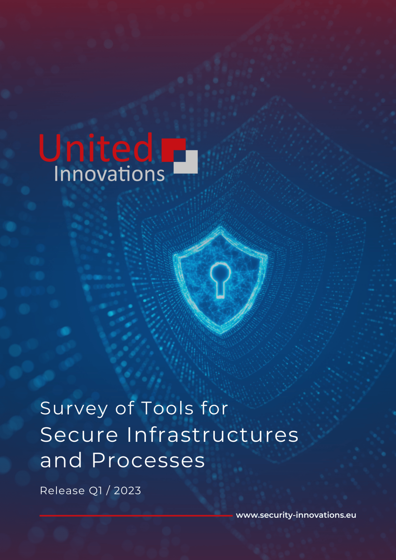 Security Survey ​